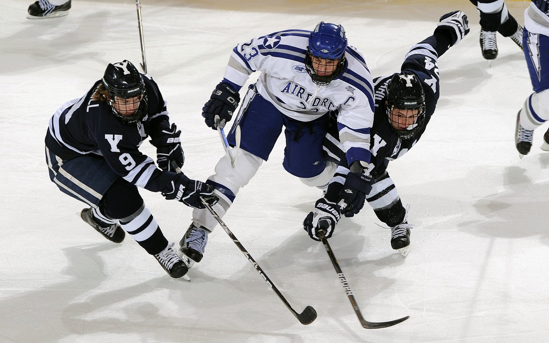 赛道与球场,速度与韧性的双重奏