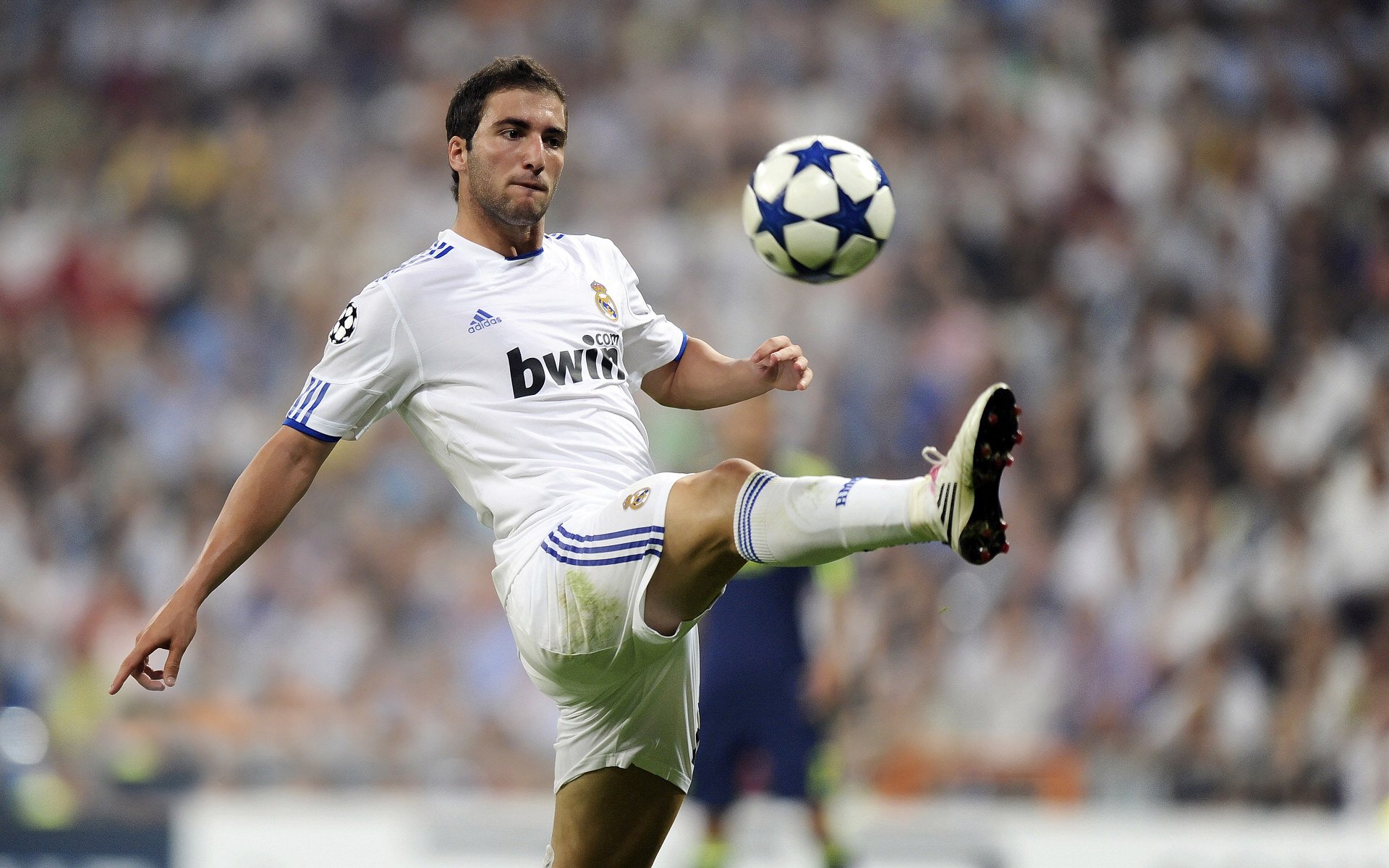 美网完胜拉沃尔杯，纳达尔带队，一场定义时代的胜利