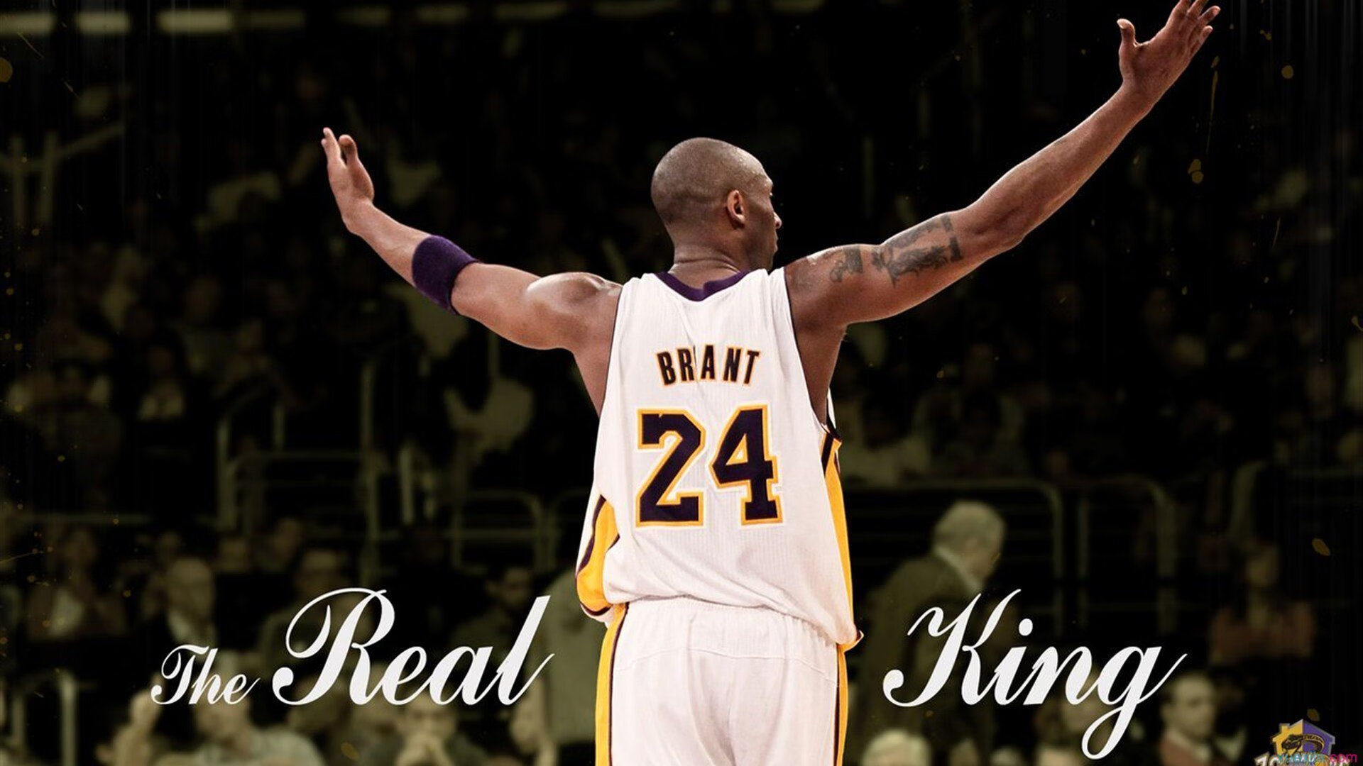 开云体育在线-逆转与刷新，体育精神的交响曲