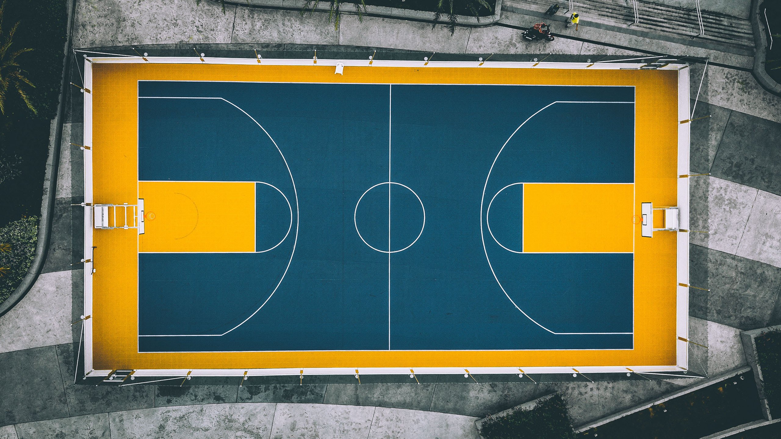 孤星照耀卡塔赫纳,哈基米领衔波兰绝境突围,2026世界杯生死战击碎秘鲁
